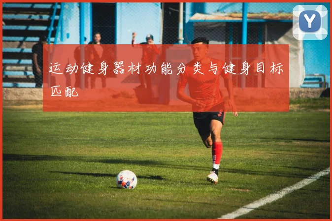 运动健身器材功能分类与健身目标匹配