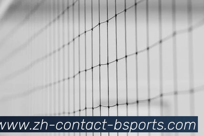 B体育APP 封面图